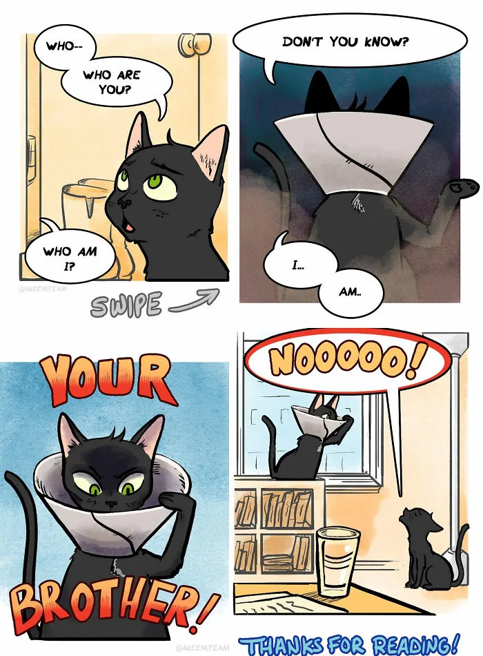 Funny comics about life with two black cats making a dramatic Star Wars parody with a cone of shame.