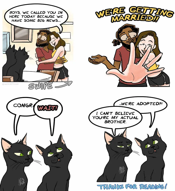 Funny comics about life with a girlfriend and two black cats reacting to their owners getting married.