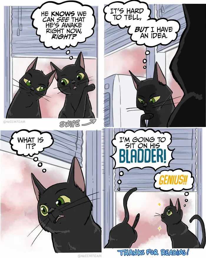 Funny comics about life with two black cats plotting to wake up their owner by sitting on his bladder.