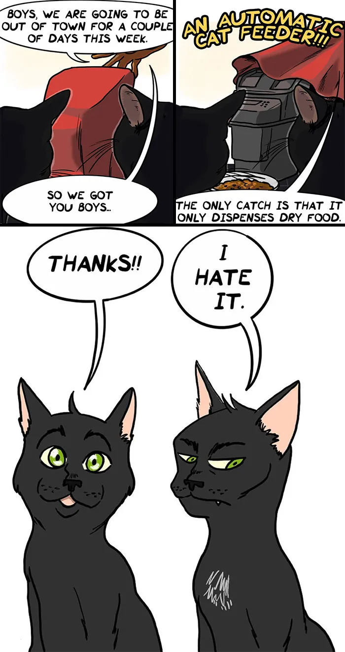 Funny comics about life with his girlfriend and two black cats showing different reactions to an automatic feeder.