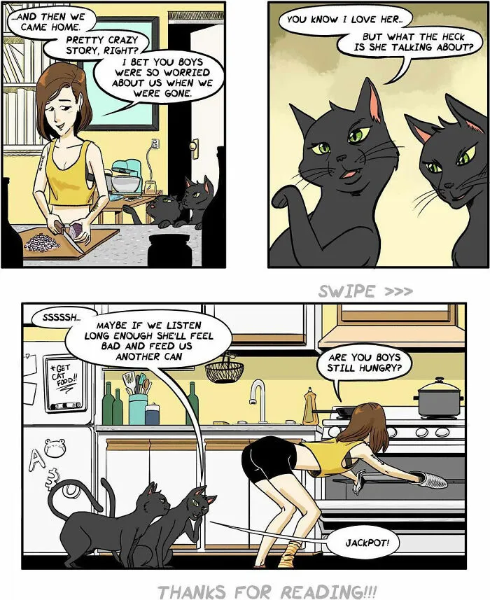Woman cooking in the kitchen as two black cats from funny comics about life with his girlfriend scheme for food.