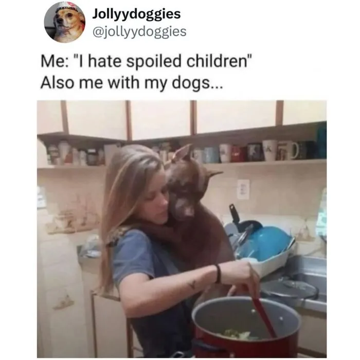 Heartwarming dog memes of a woman holding her large pet dog like a baby while cooking in the kitchen.