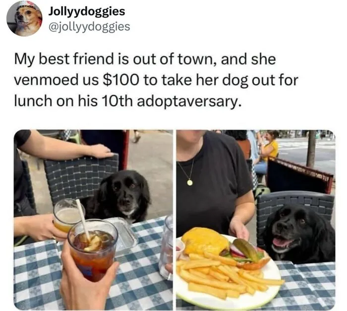 Funny dog meme showing a black dog sitting at a restaurant table enjoying a burger and fries