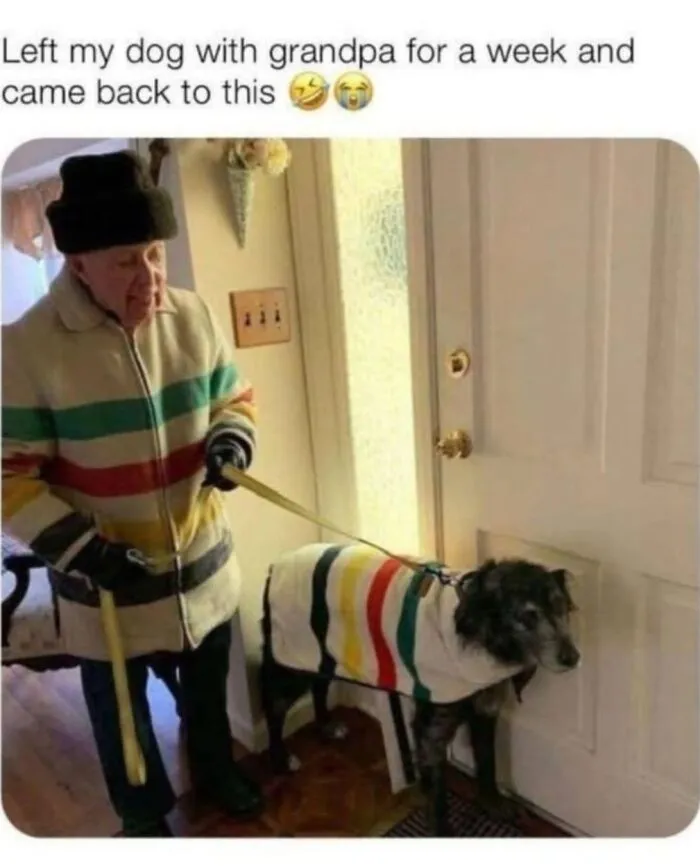Hilarious dog memes showing a happy grandfather wearing matching striped coats with his pet dog.