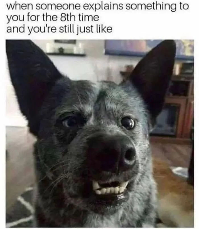 A funny dog pulling a confused face, displaying entertaining dog memes.