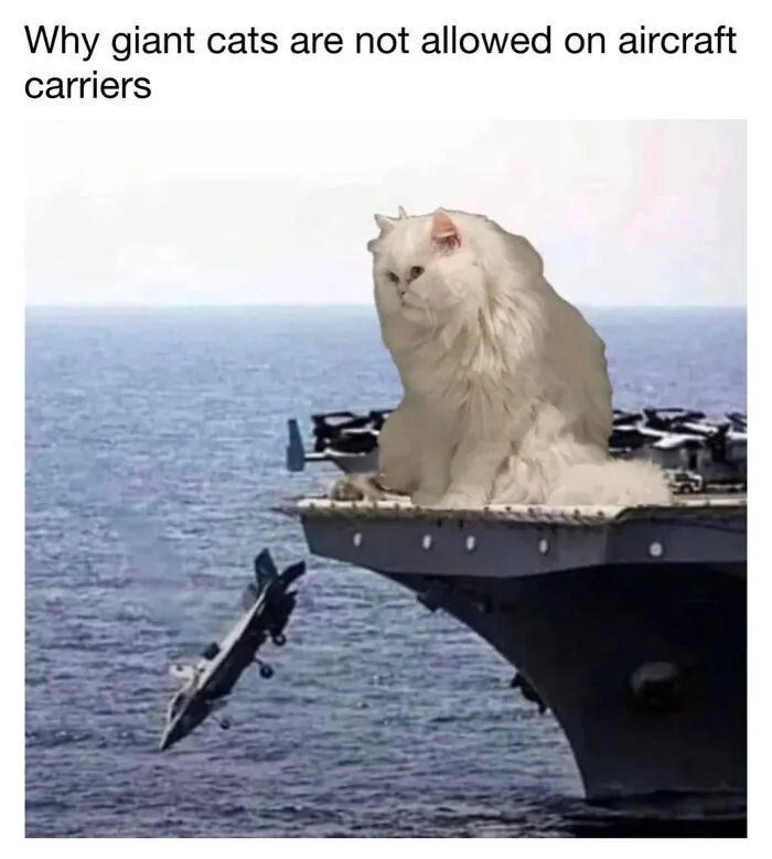 This Page Shared 30 Funny Posts That Prove Cats Will Never Stop Doing The Weirdest Things
