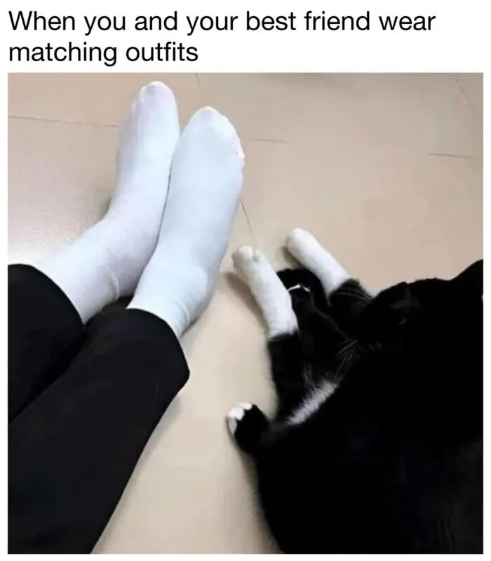 This Page Shared 30 Funny Posts That Prove Cats Will Never Stop Doing The Weirdest Things