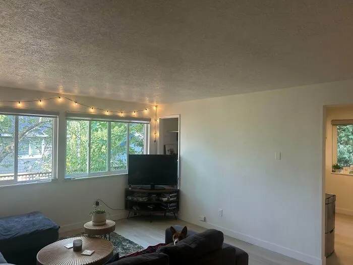 Minimalist living room layout demonstrating simple interior design choices with corner television setup