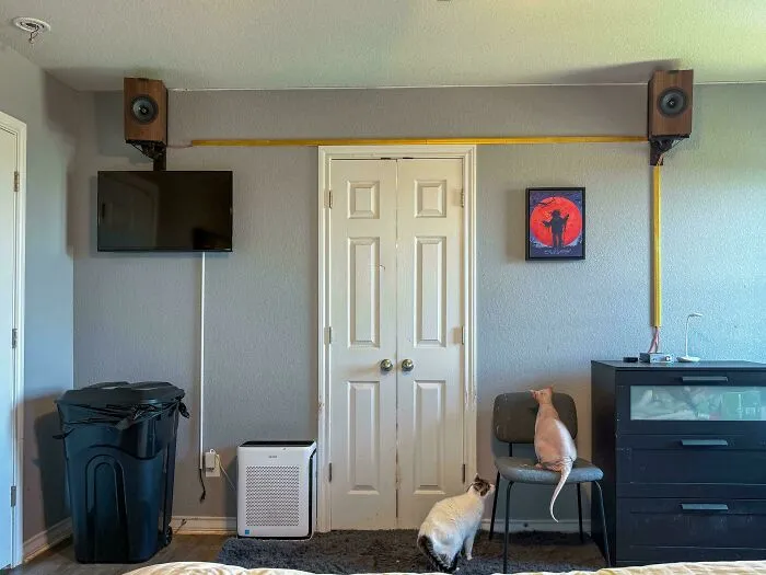 A room showing poor interior design decisions with speakers near ceiling, trash can, and cats near closet door.
