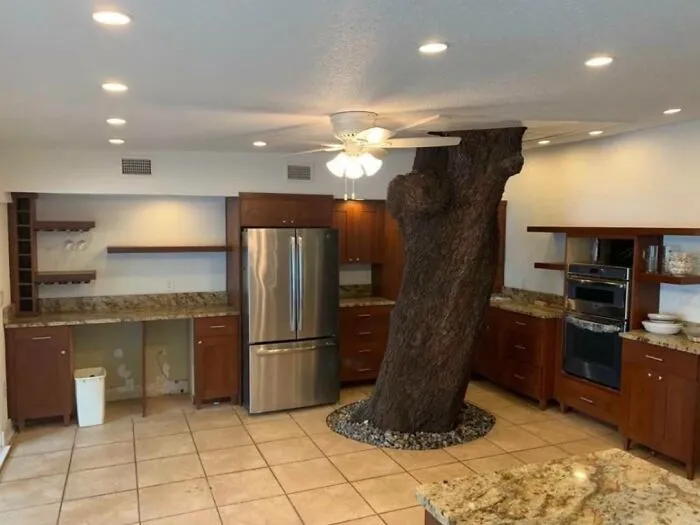 Unique interior design featuring a large living tree trunk inside a kitchen.