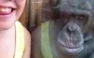 57 Times People Forgot Mirrors Reflect Everything And Ended Up With Hilarious Photos