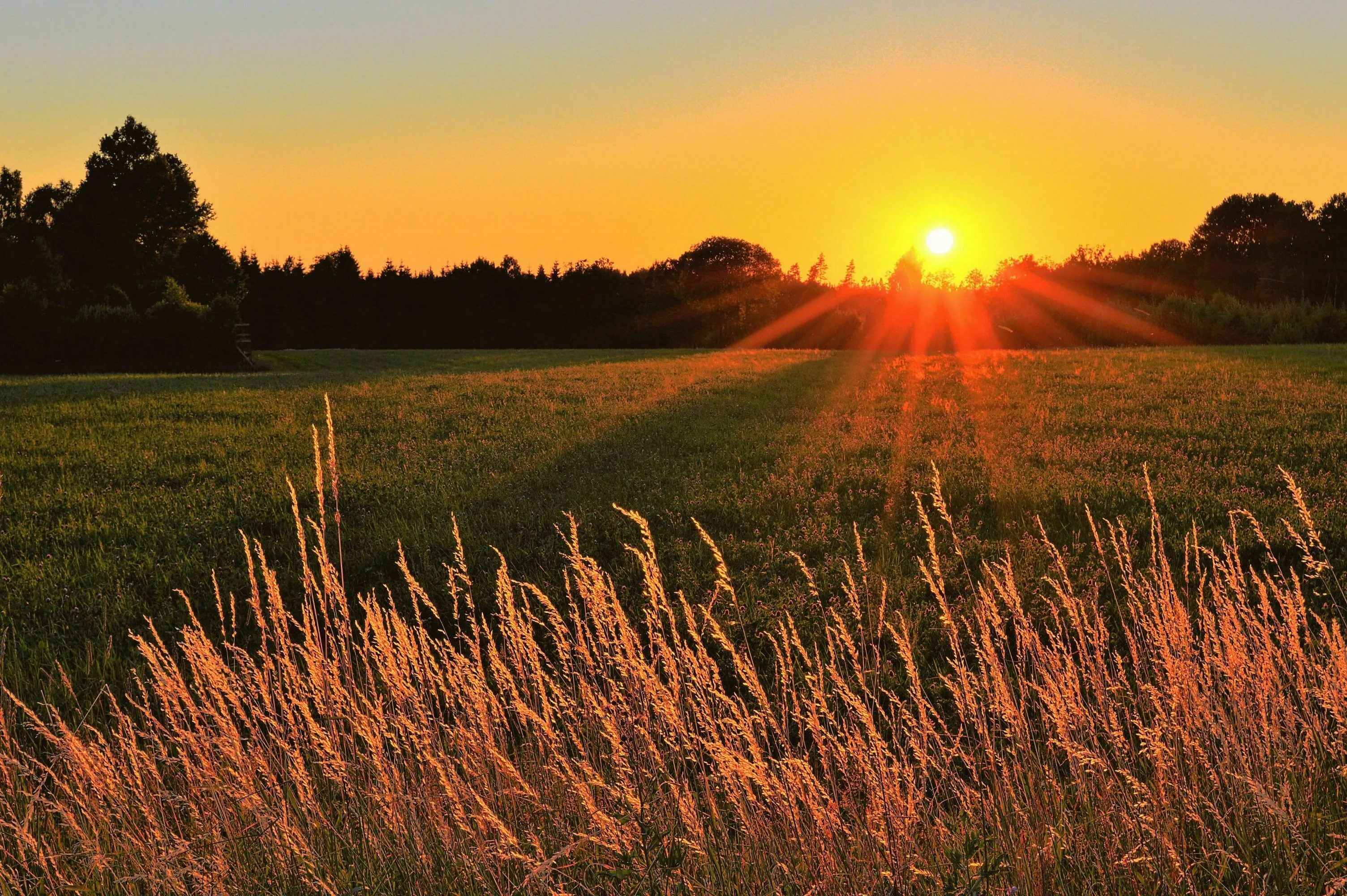 Sunrise over a green field illustrating the longest day of the year in the Northern Hemisphere