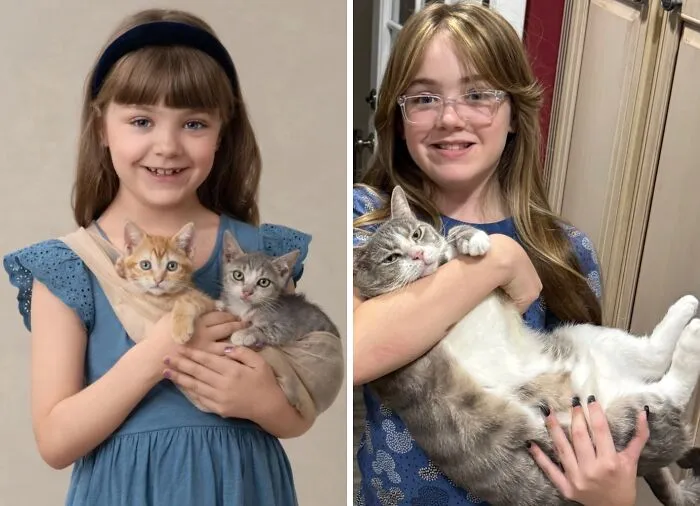 Before-and-after photo of a young girl holding tiny kittens growing up into a teenager with a large cat