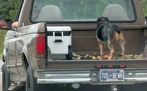 68 People Who Made Some Truly Terrible Decisions And We Have The Photos To Prove It