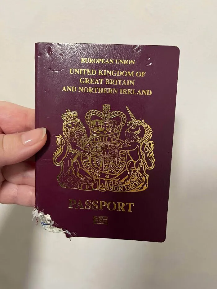 A questionable decision where a dog has chewed the bottom left corner of a purple UK passport
