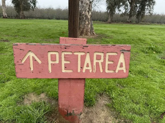 Red wooden sign with poor letter spacing spelling PET AREA, illustrating a typography fail.