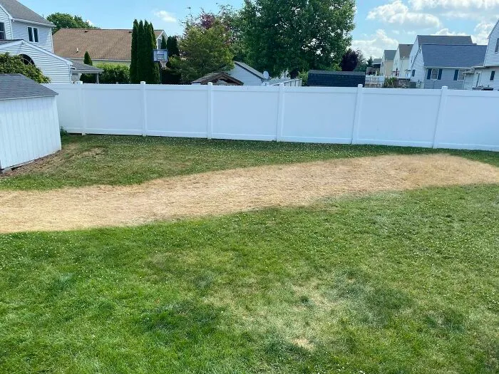 A backyard lawn with a large stripe of dead grass, demonstrating questionable decisions in lawn care.