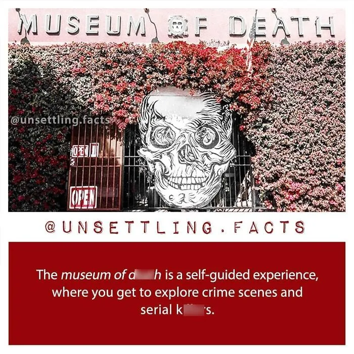 A carved stone skull entrance representing creepy and unsettling facts at the Museum of Death.