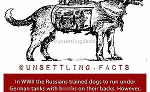 69 Eerie Facts About The World That Get More Disturbing The More You Think About Them