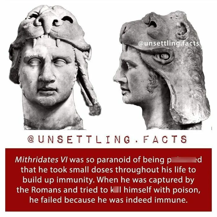 Historical sculpture of Mithridates VI wearing a lion pelt, with creepy and unsettling facts about his poison immunity.