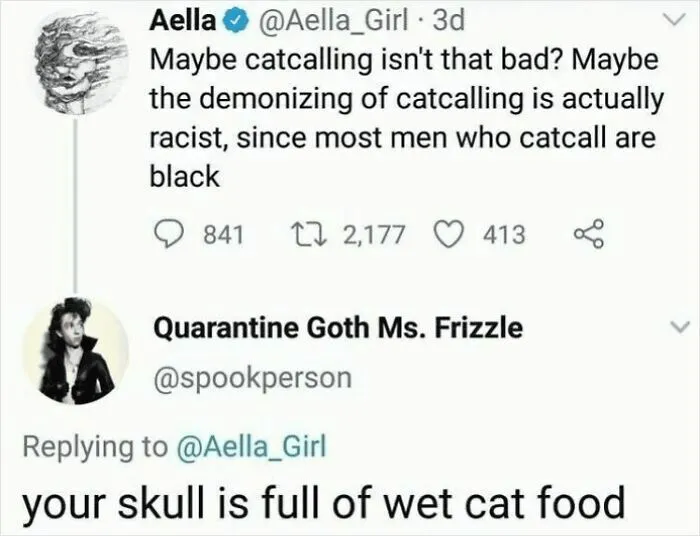 A Twitter exchange showing a funny and oddly accurate insult about a skull being full of wet cat food.
