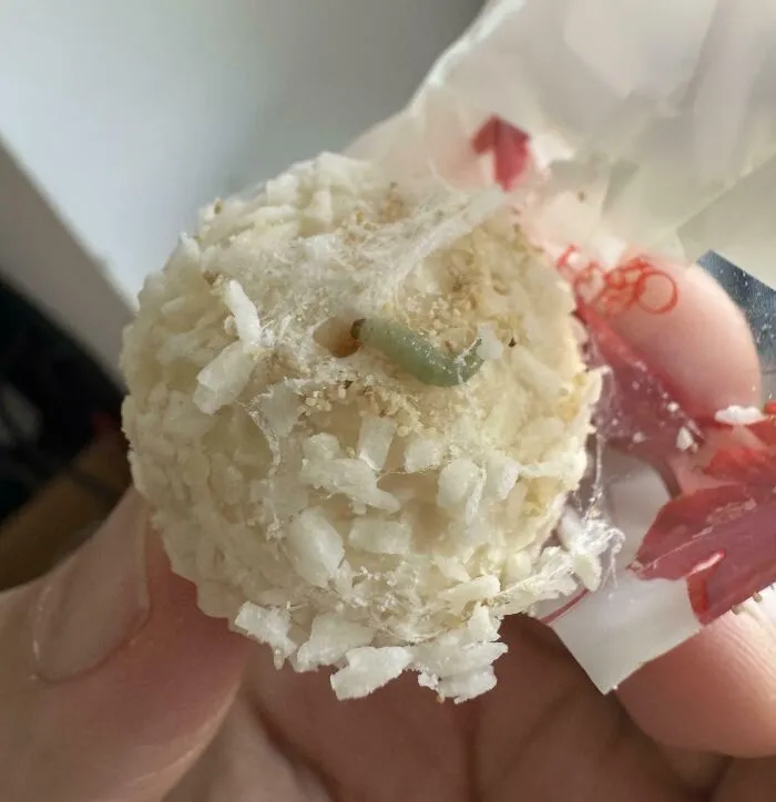 Halfway Through A Box Of Raffaellos And I Find This 🤢