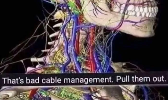 Funny memes depicting a medical anatomical model of neck nerves captioned as bad cable management.