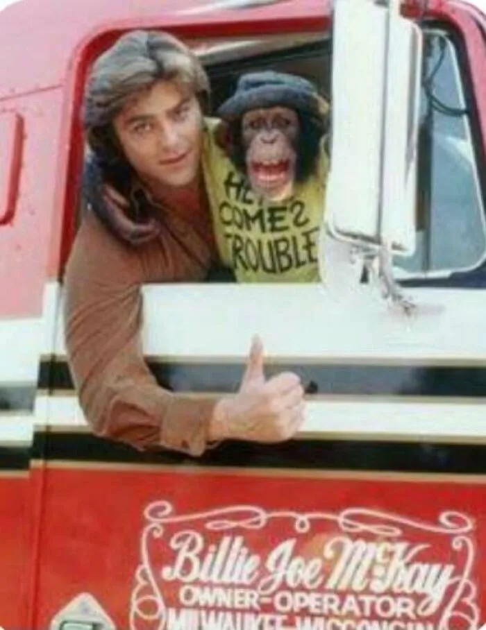 1970s man with chimpanzee in truck showing thumbs up vintage photo