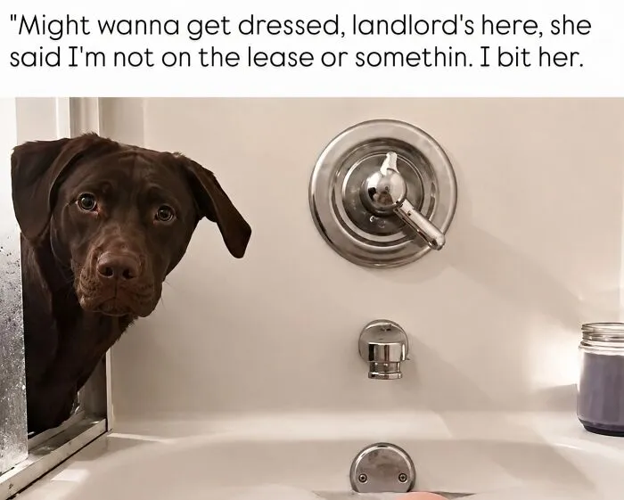 Thelolhub-Funny-Random-Memes