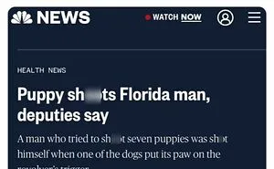 75 Hilarious And Unhinged News Headlines That Deserve To Be Shared Again