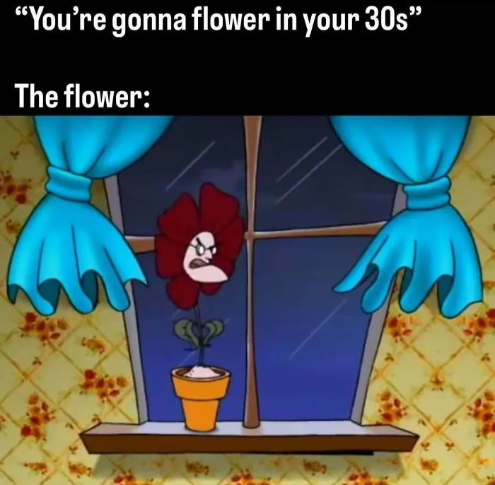 Relatable meme of an angry red flower in a pot by a window, representing flowering in your 30s