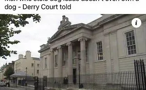 75 Of The Funniest Or Most Confusing News Headlines Ever Shared