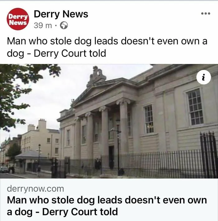 My Local News