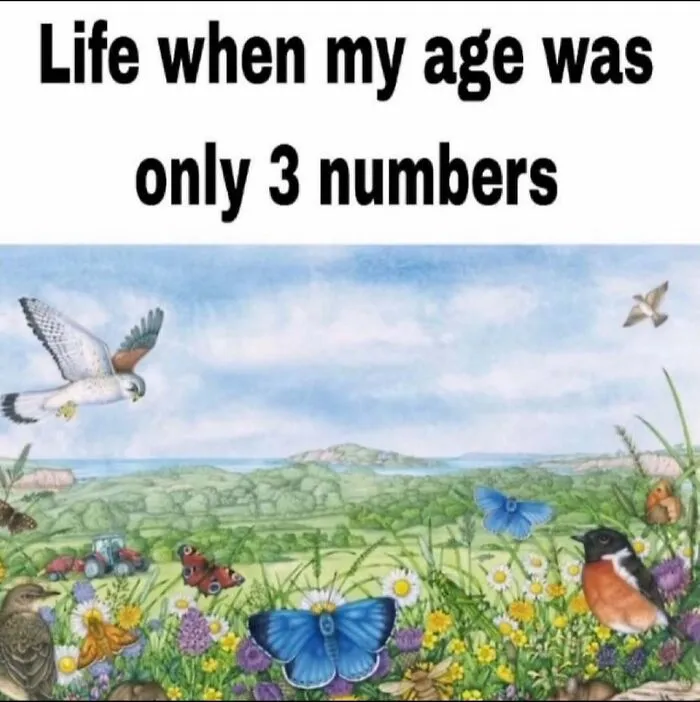 Meme depicting a peaceful nature illustration with butterflies and birds, highlighting relatable feelings about childhood.