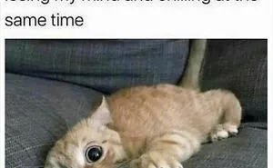 75 Random Memes That Are Way Too Accurate To Be This Funny
