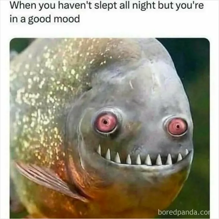 Relatable memes featuring a fish with wide eyes and a creepy smile.