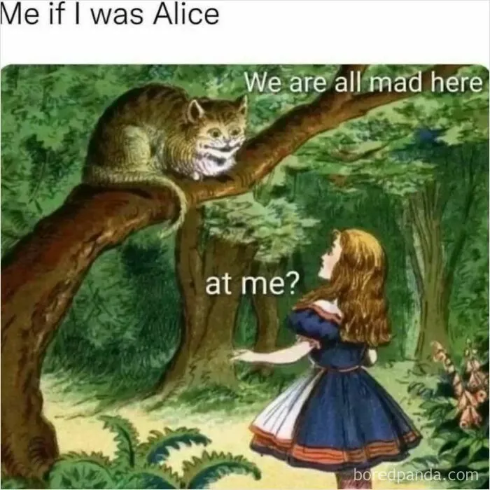 Relatable meme showing Alice in Wonderland asking the Cheshire Cat, We are all mad here... at me?