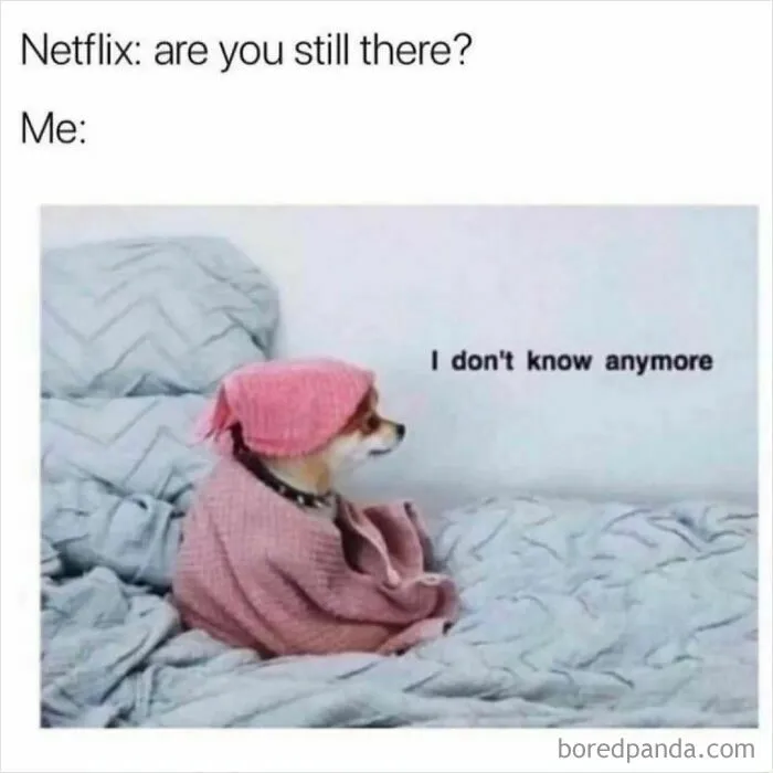 Relatable memes of a sad dog under a blanket questioning life after watching Netflix.