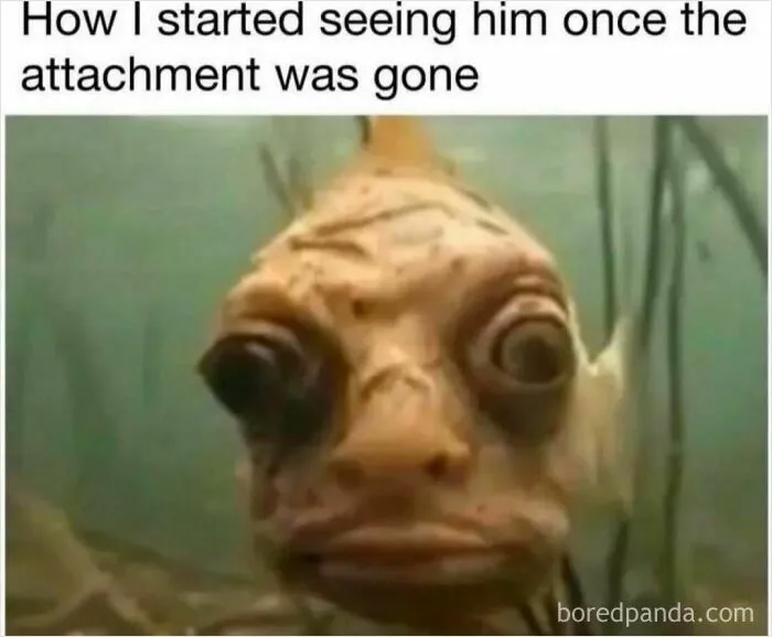 Relatable meme showing an ugly fish to represent losing romantic feelings for someone