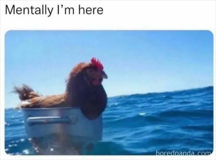 Relatable memes about a chicken floating in a pot on the ocean representing mental state