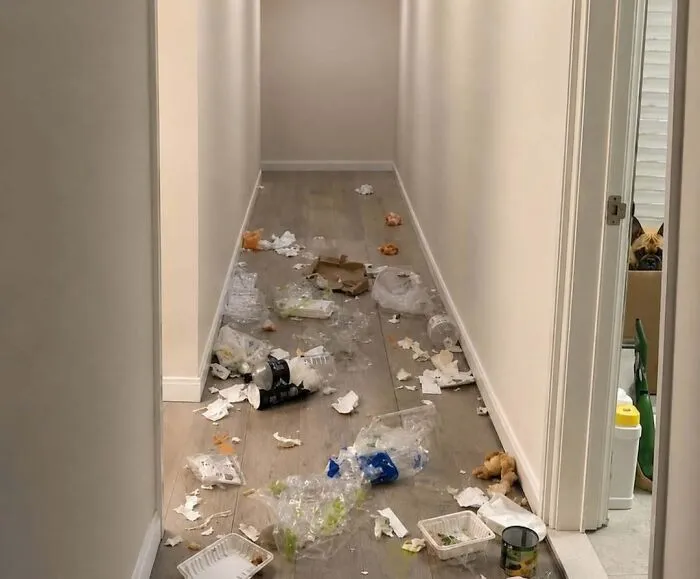 Dog watching as hallway is littered with trash