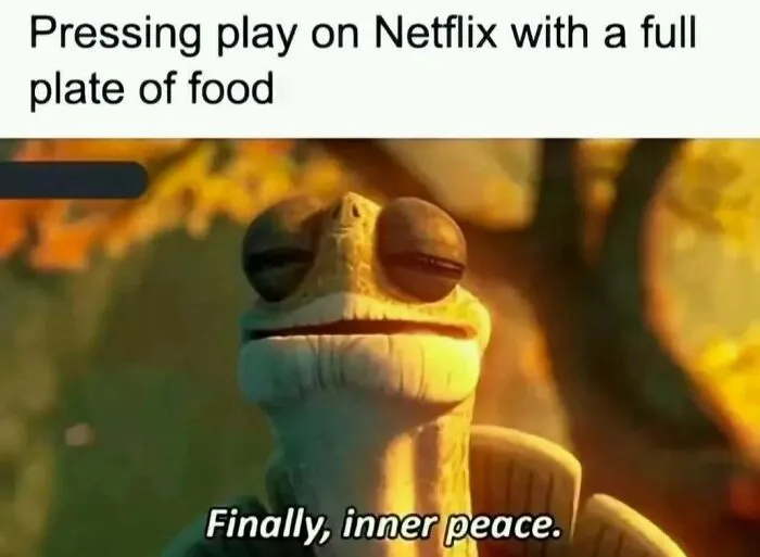 A Master Oogway meme representing inner peace and random memes with Netflix and food.