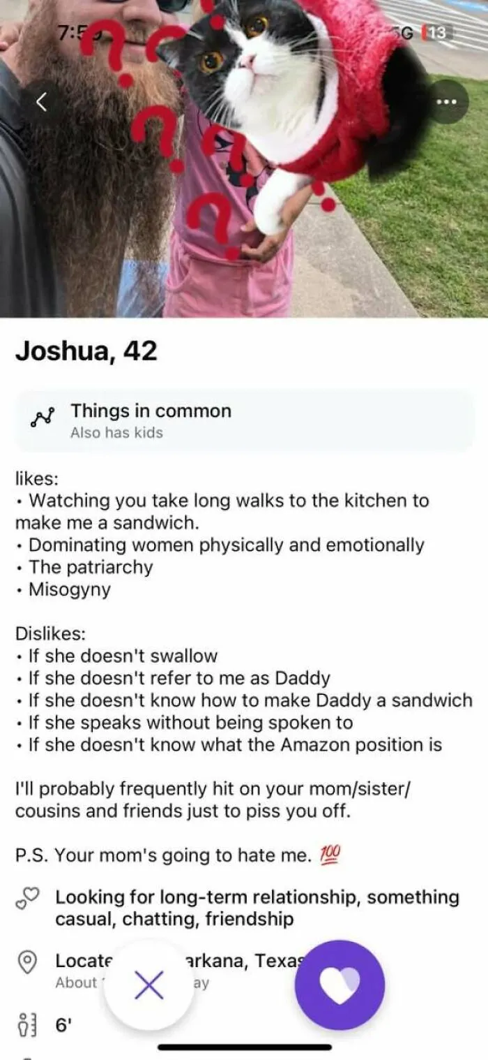 Screenshot showing a bad dating profile with controversial likes and dislikes.
