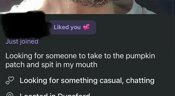 A screenshot of a strange dating profile prompt about visiting a pumpkin patch.