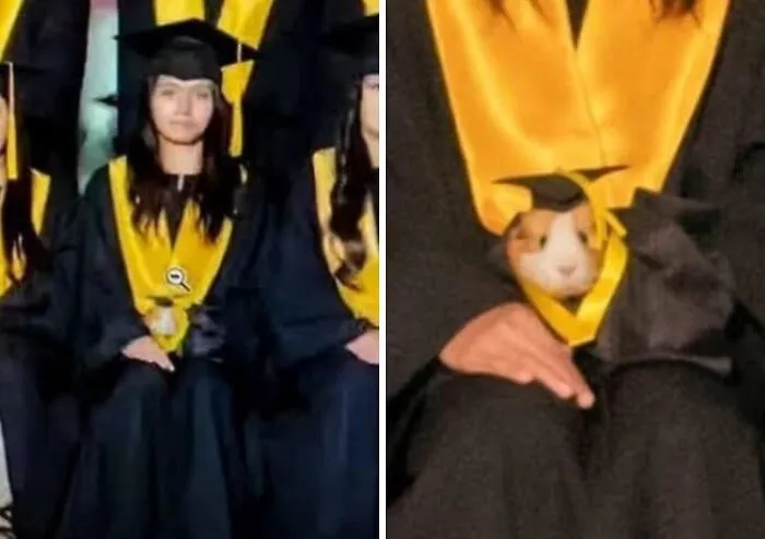 Side-by-side photo showing a student holding a tiny hamster wearing a matching graduation cap and gown.