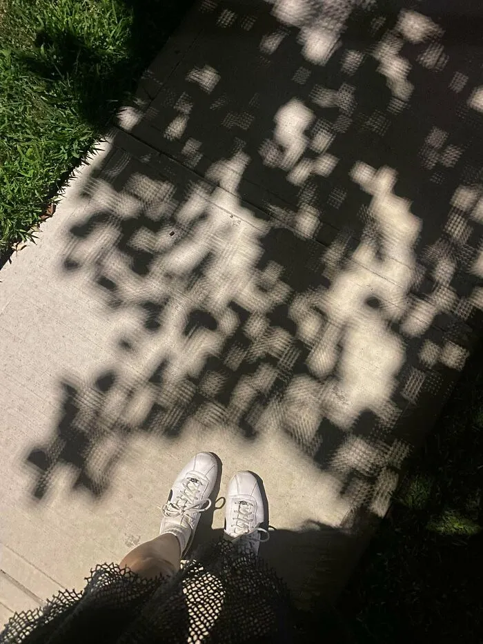 Pixelated tree shadow cast on a sidewalk looking like low resolution graphics in a strange photo.
