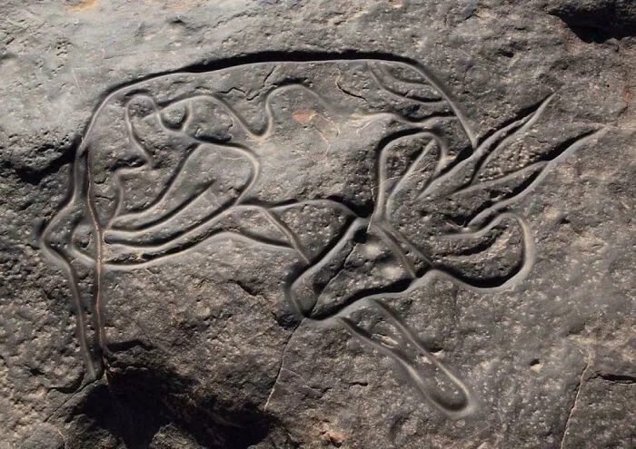 Creepy prehistoric rock carving of animal in stone discovery