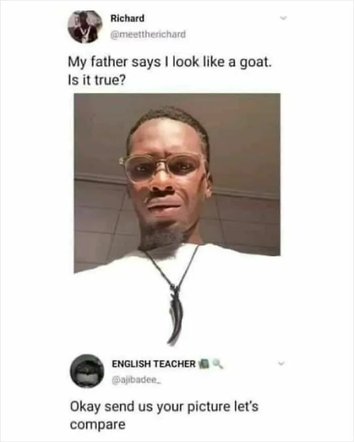 A hilarious exchange with funny and oddly accurate insults comparing a man's photo to a goat.