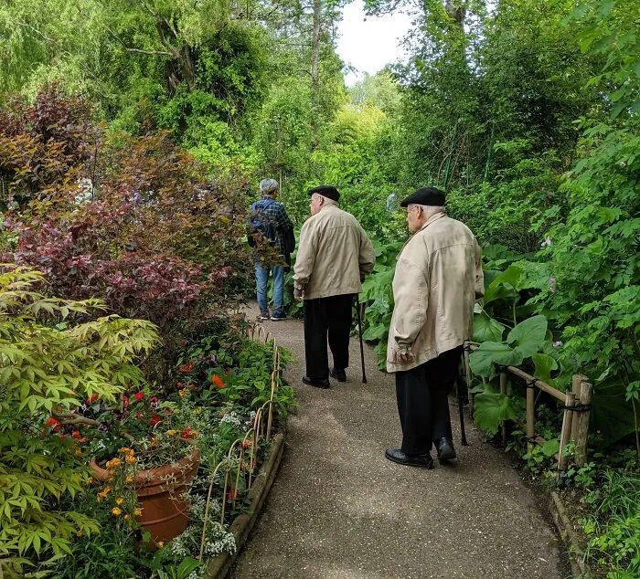 Two elderly men in matching jackets walking down a path, creating a scene like strange photos in real life.