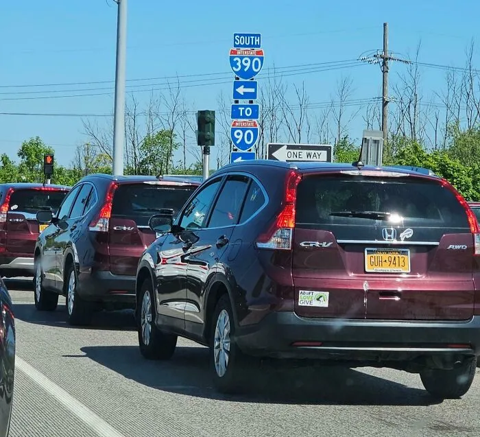 Line of identical maroon Honda CR-Vs driving on a highway, featured in strange photos of real-life repetition.